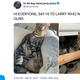 Image for article titled I Sold a Tweet About My Future Cat on the Blockchain and Helped Kill the Earth in the Process